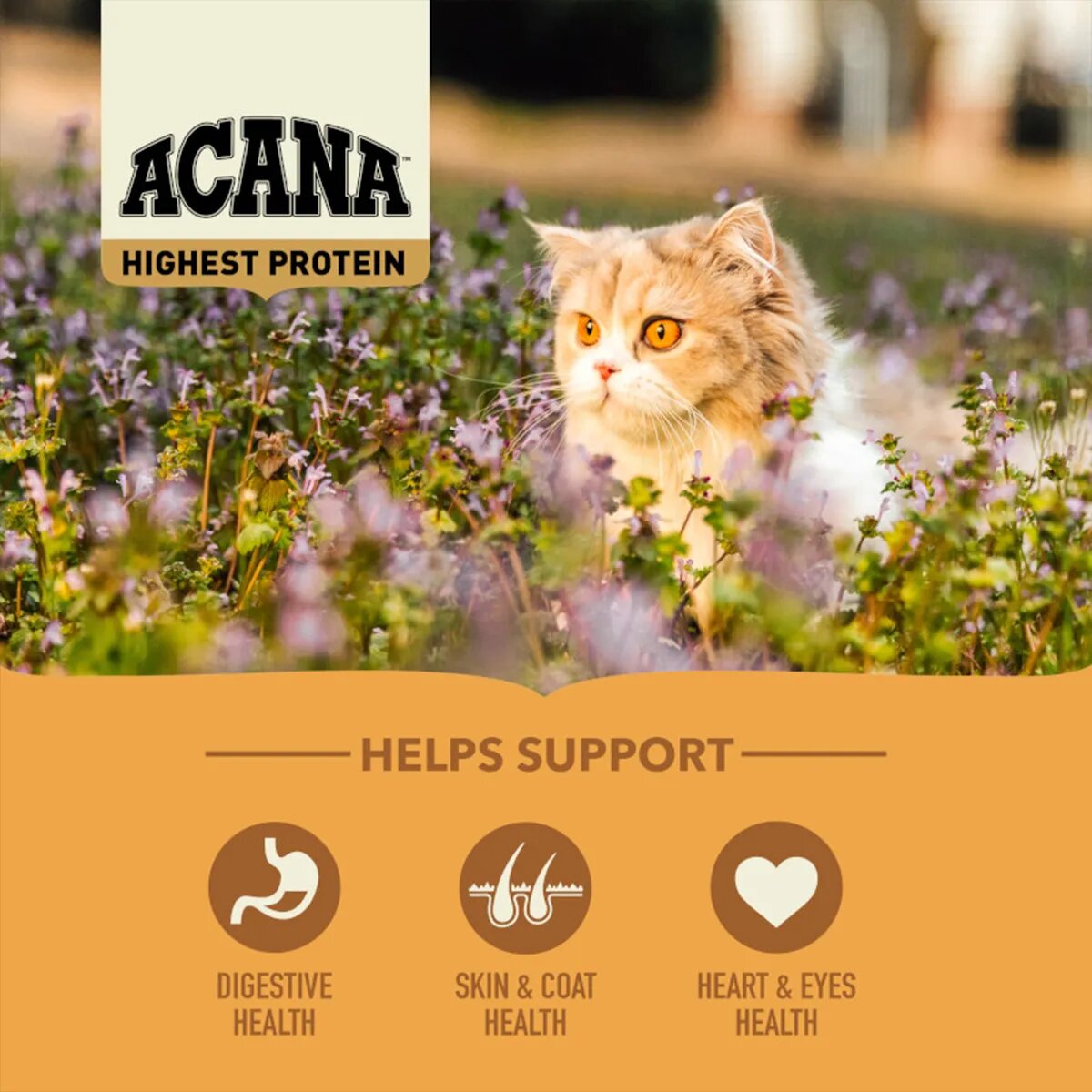 Acana Highest Protein Wild Prairie hrană uscată fără cereale pisici Regionals Wild Prairie hrană uscată fără cereale pisici 4.5kg