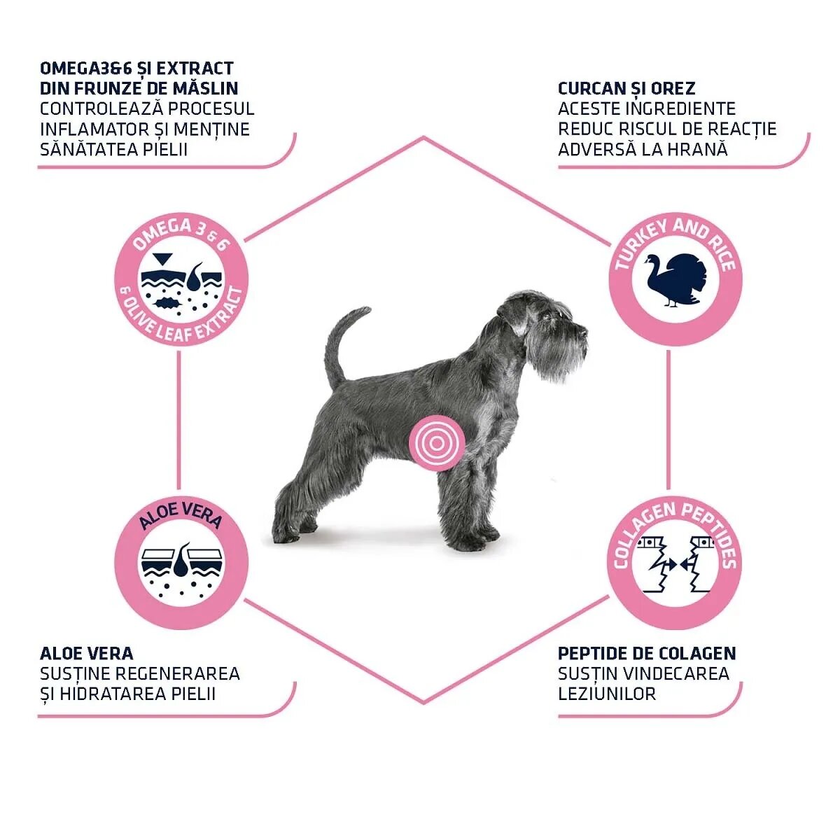 ADVANCE VETERINARY DIETS Atopic Derma Care XS-XL Curcan dietă veterinară plic hrană umedă câini piele & blană (în aspic) bax 150g x 8buc