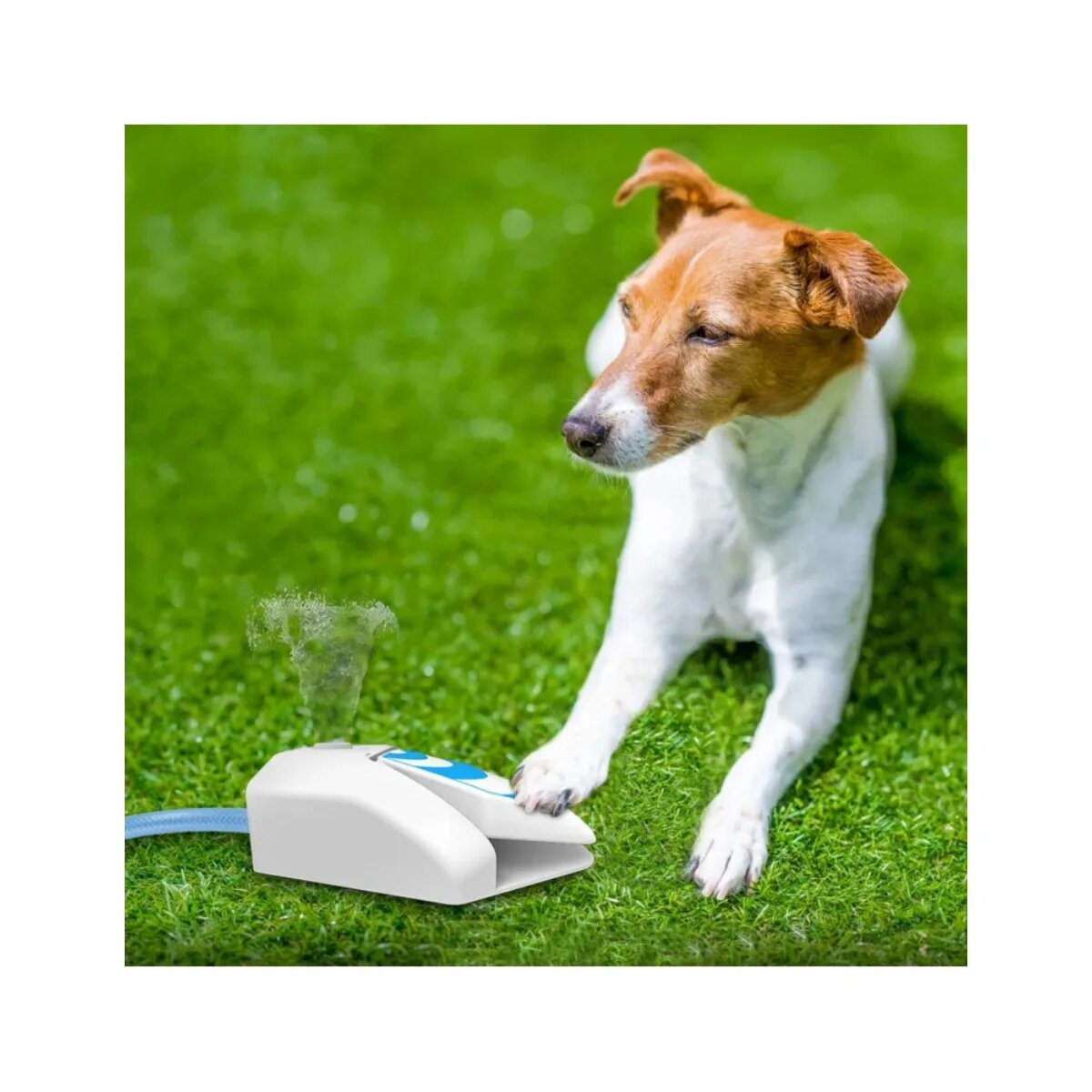 All For Paws Fantana de Gradina fântână câini asimetrică XS-XL