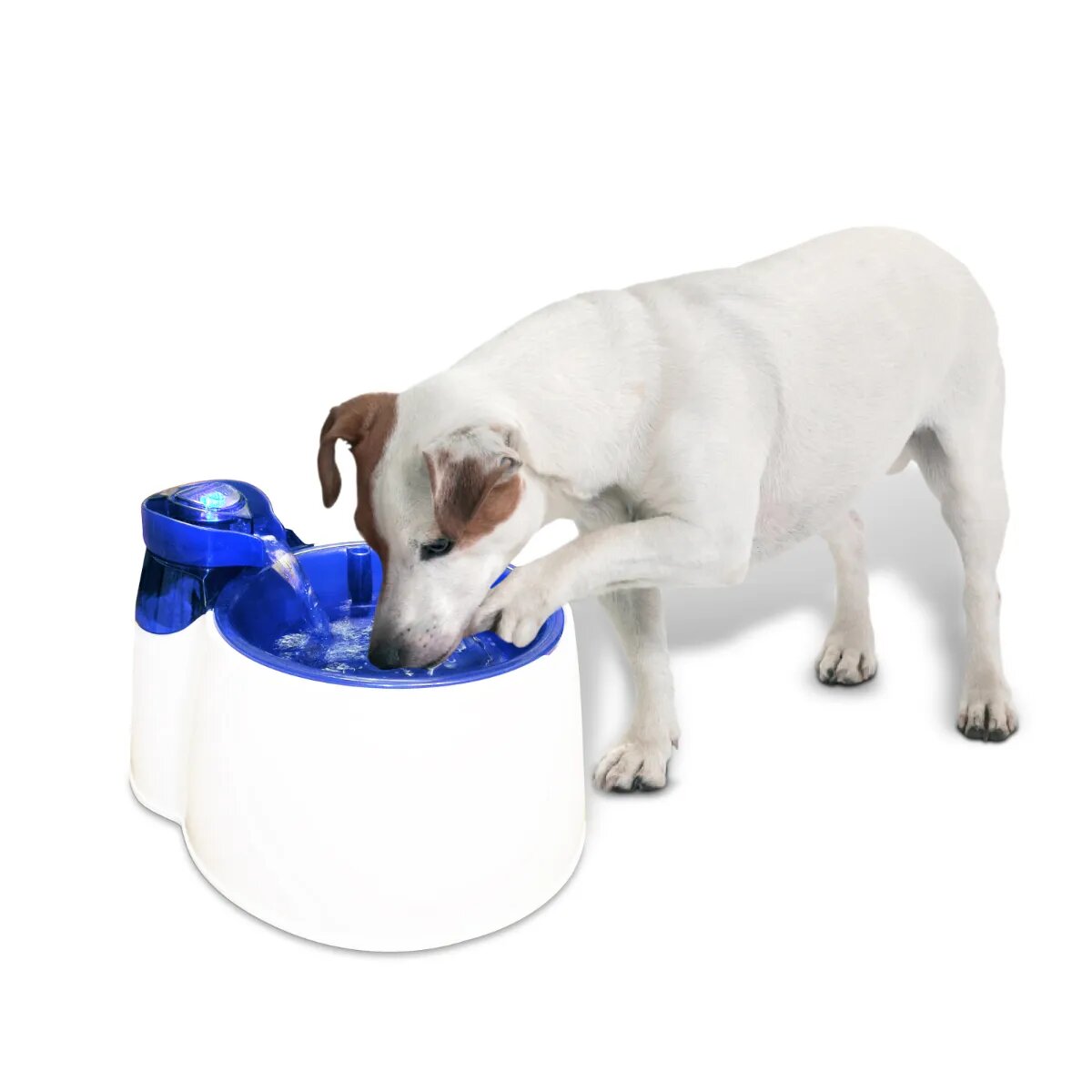 All For Paws Fountain Fresh fântână câini rotundă plastic diverse culori XS-M(3l)