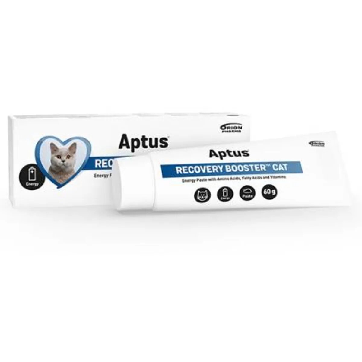 APTUS Recovery Booster supliment convalescență pisici pastă orală Recovery Booster supliment convalescență pisici tub 60g pastă orală