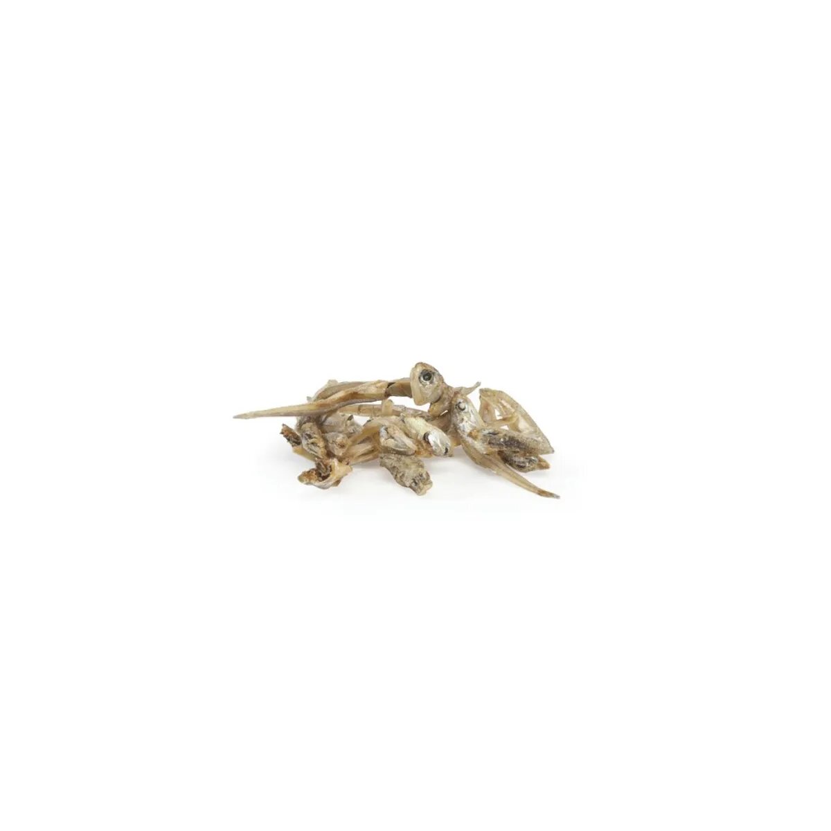 Camon Dried Anchovies Anșoa cutie recompense monoproteice pisici 30g