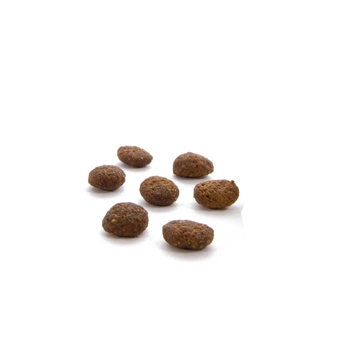 Canagan Dental Curcan hrană uscată fără cereale pisici junior & adult sensibilități dentare 375g