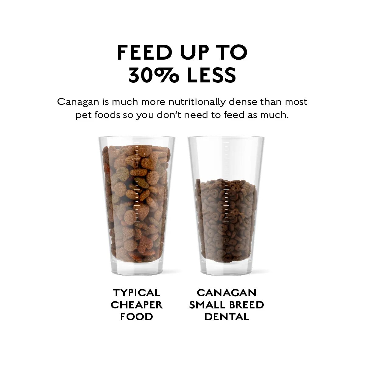 Canagan Dental Small Breed XS-S Curcan hrană uscată fără cereale câini junior & adult sensibilități dentare 2kg