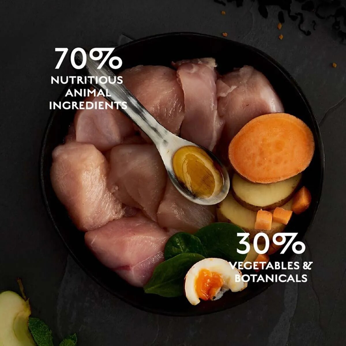 Canagan Free Range Chicken Pui hrană uscată fără cereale pisici junior & adult 375g