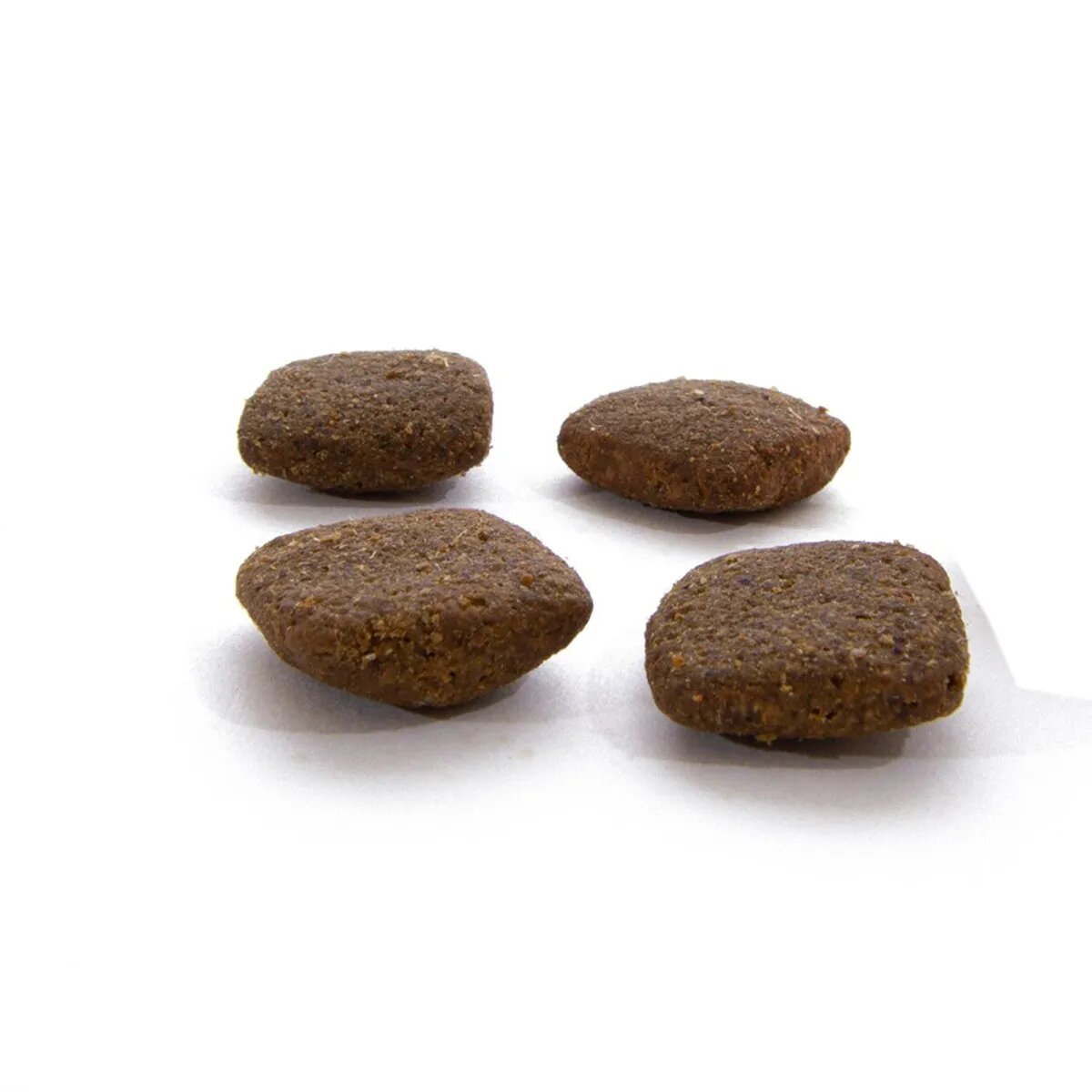 Canagan Grass Fed Lamb XS-XL Miel hrană uscată fără cereale câini junior & adult 12kg