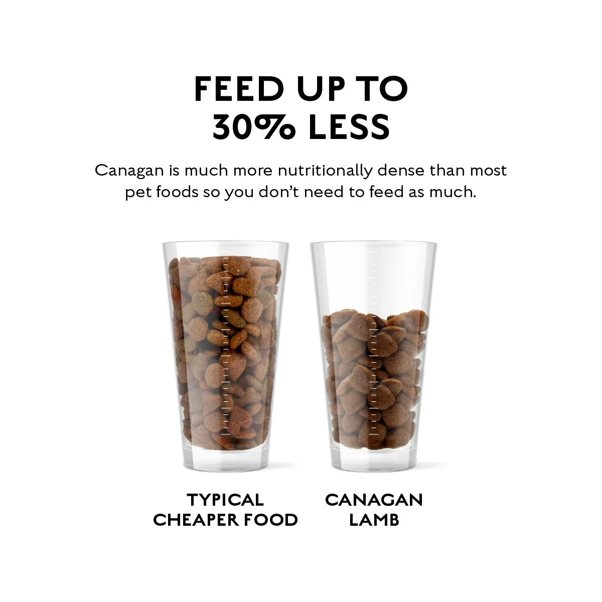 Canagan Grass Fed Lamb XS-XL Miel hrană uscată fără cereale câini junior & adult 12kg