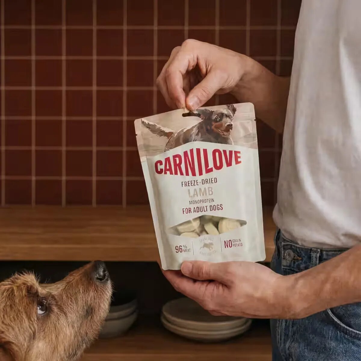 Carnilove Freeze Dried XS-XL Miel punguță recompense fără cereale câini 60g