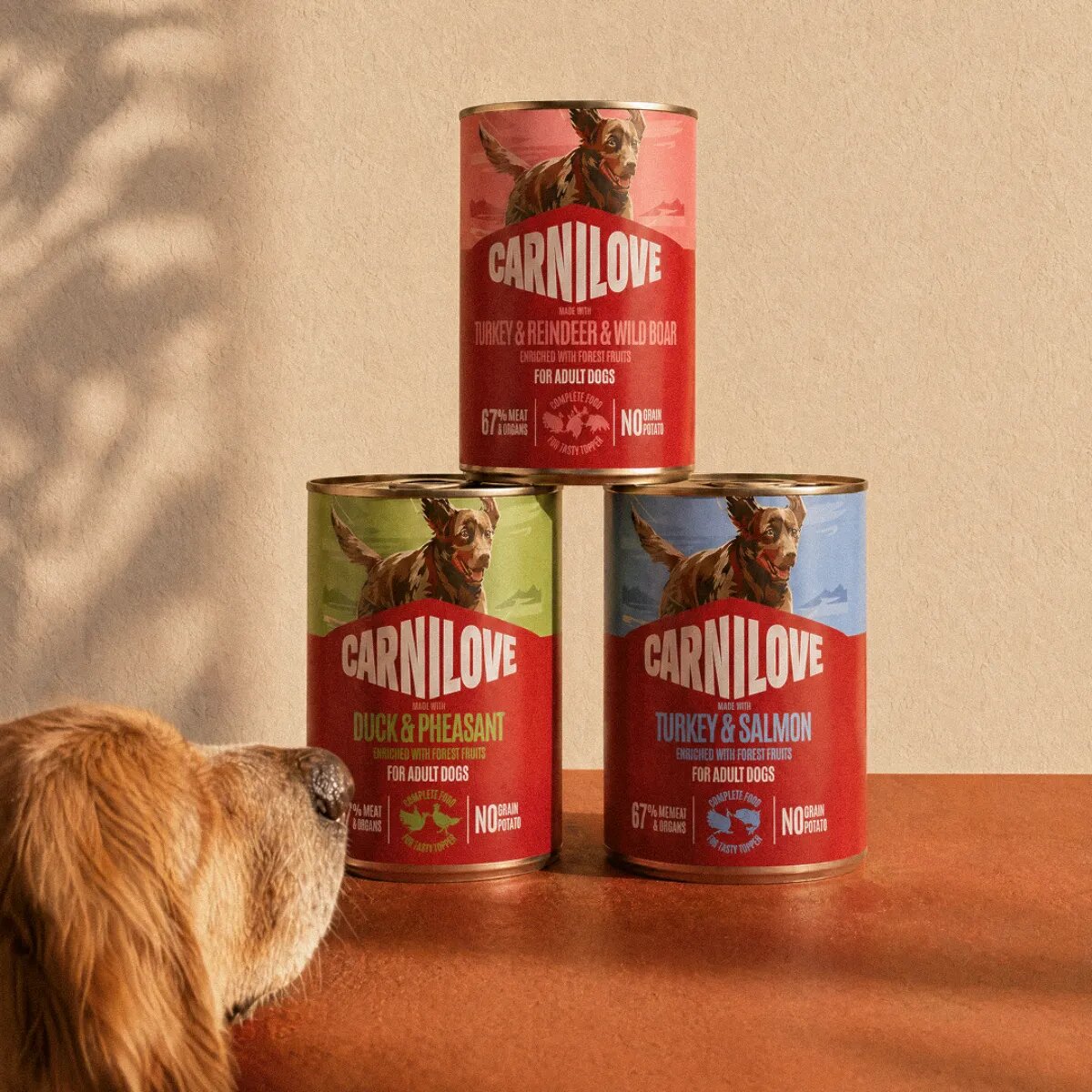 Carnilove XS-XL Curcan și Somon conservă hrană umedă fără cereale câini (pate) bax 400g x 6buc