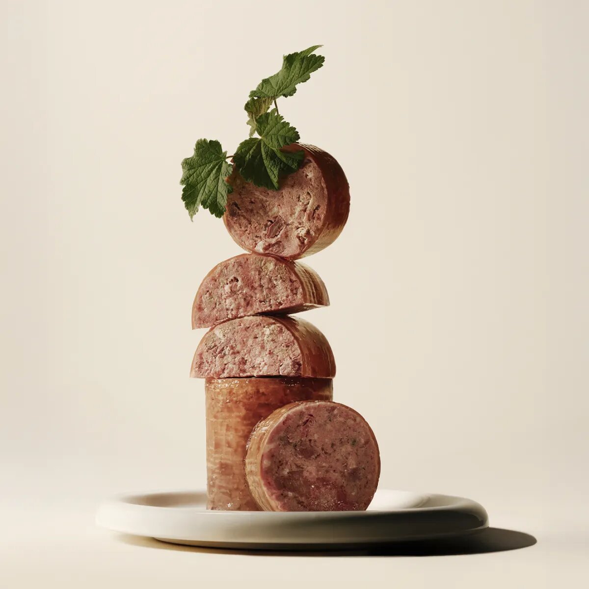 Carnilove XS-XL Curcan și Somon conservă hrană umedă fără cereale câini (pate) bax 400g x 6buc