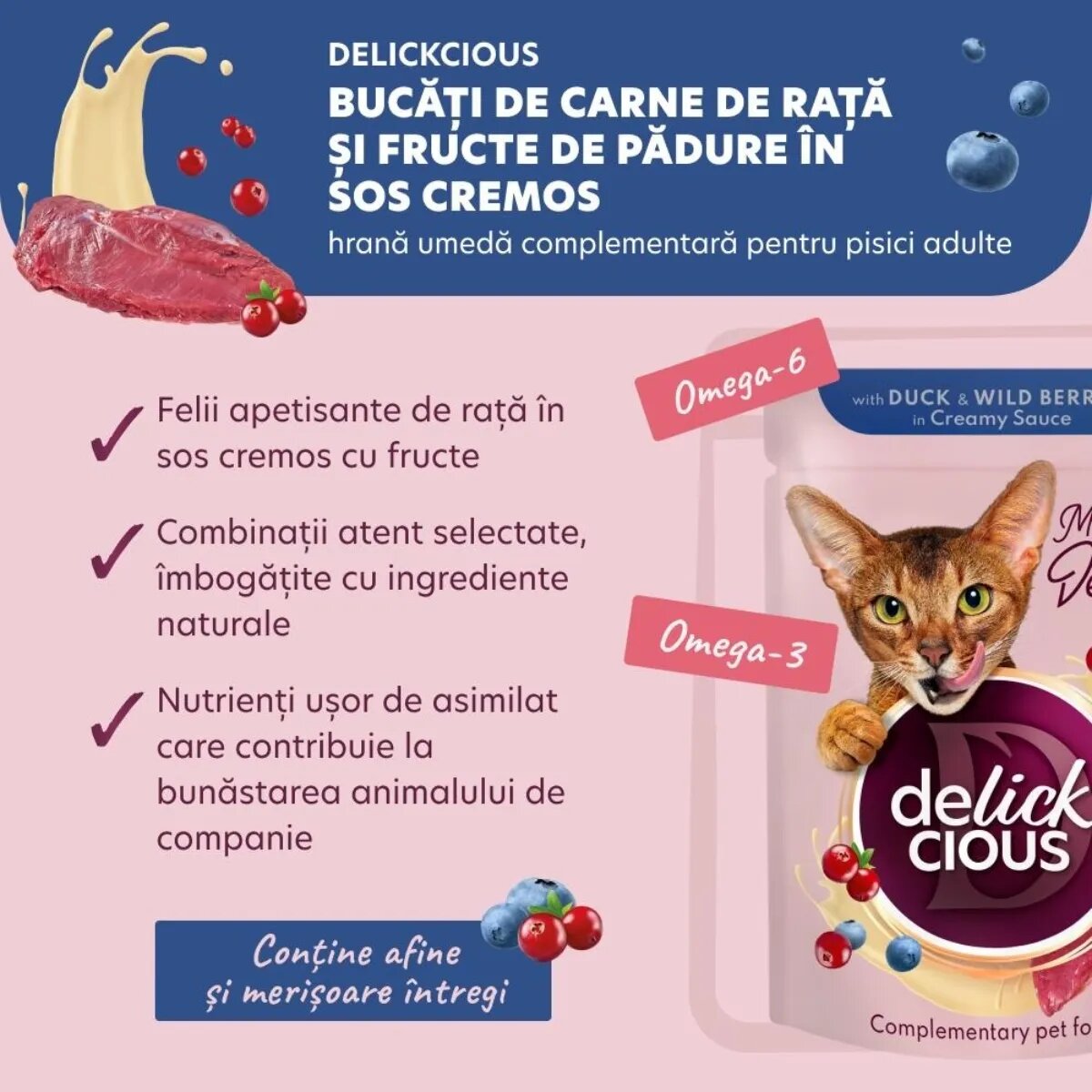DELICKCIOUS Dessert Rață și Fructe de Pădure plic hrană umedă pisici (în sos) bax 80g x 12buc