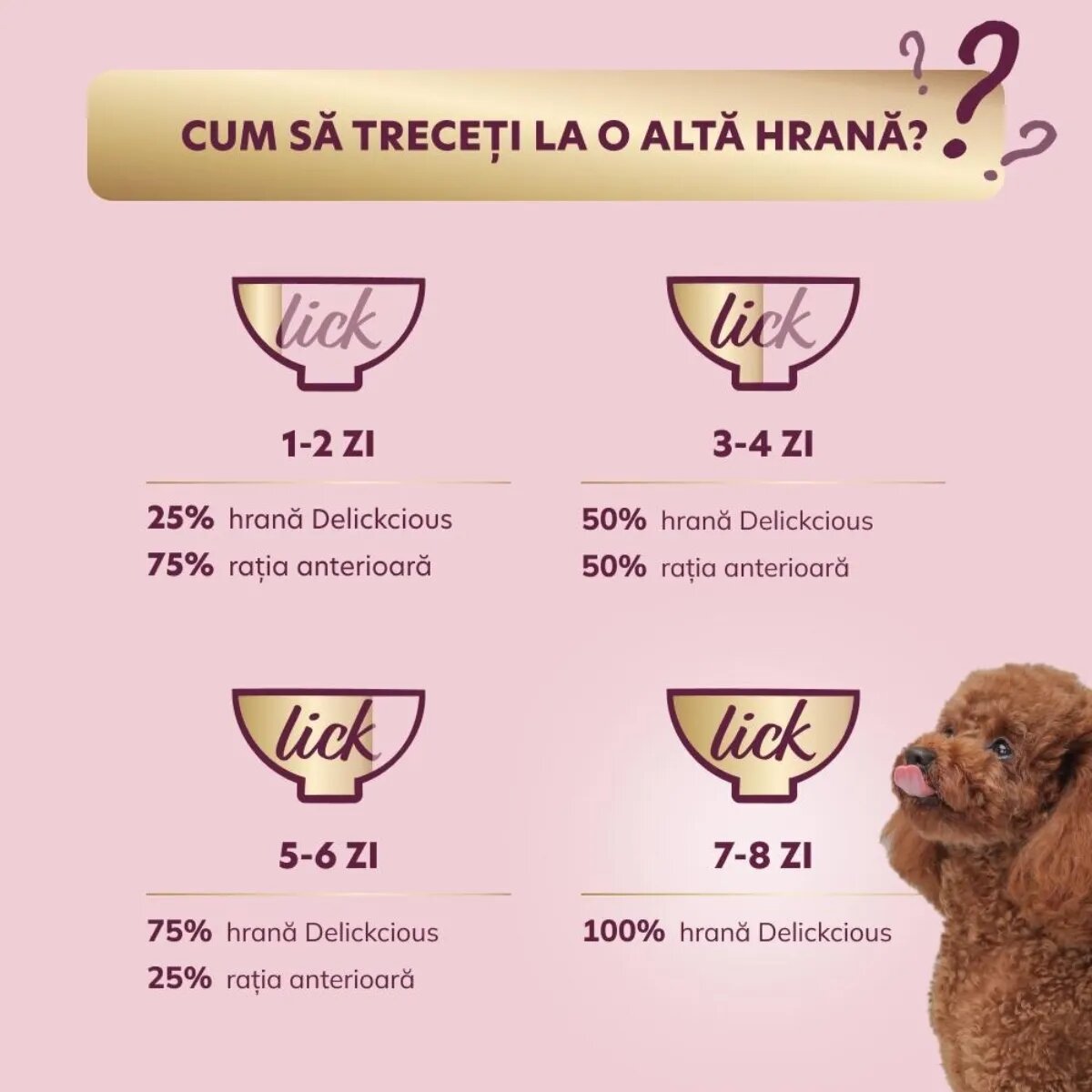 DELICKCIOUS Dessert XS-S Curcan și Fructe Tropicale plic hrană umedă câini (în sos) 80g