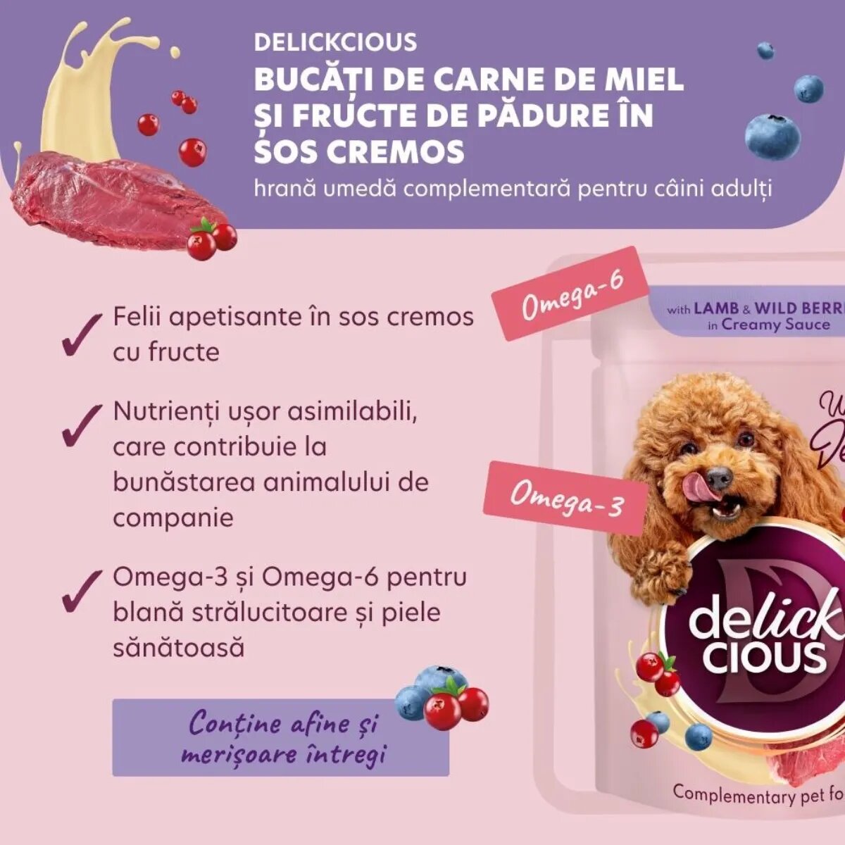 DELICKCIOUS Dessert XS-S Miel și Fructe de Pădure plic hrană umedă câini (în sos) bax 80g x 12buc