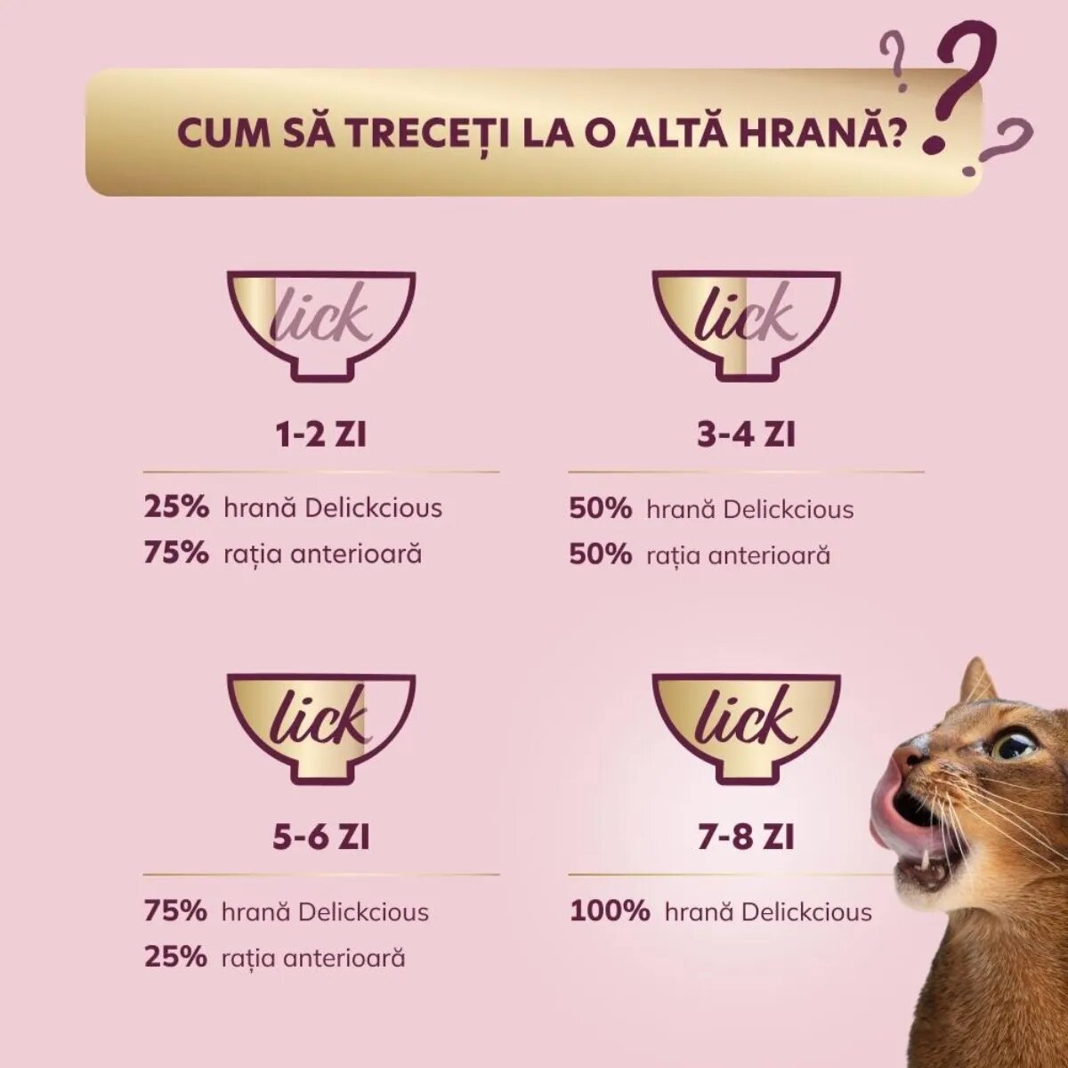 DELICKCIOUS Dinner Somon și Brânză plic hrană umedă pisici (în supă) bax 85g x 12buc