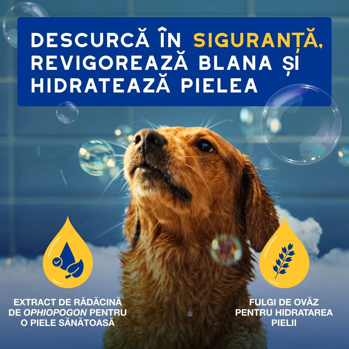 DOUXO SPA Conditioner Oatmeal balsam câini hidratant descâlcirea blănii Vanilie și Nucă de cocos flacon 250ml