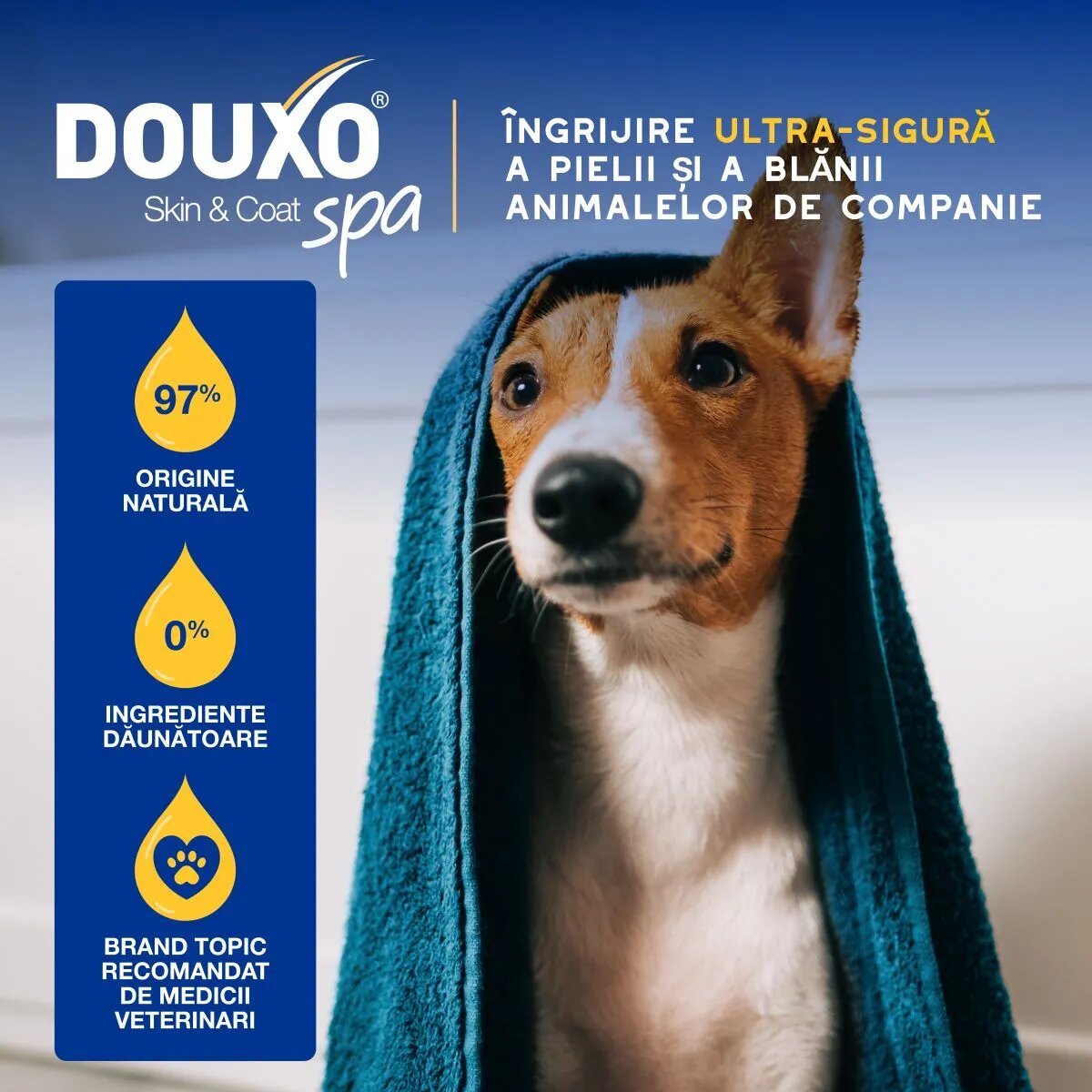 DOUXO SPA Conditioner Oatmeal balsam câini hidratant descâlcirea blănii Vanilie și Nucă de cocos flacon 250ml