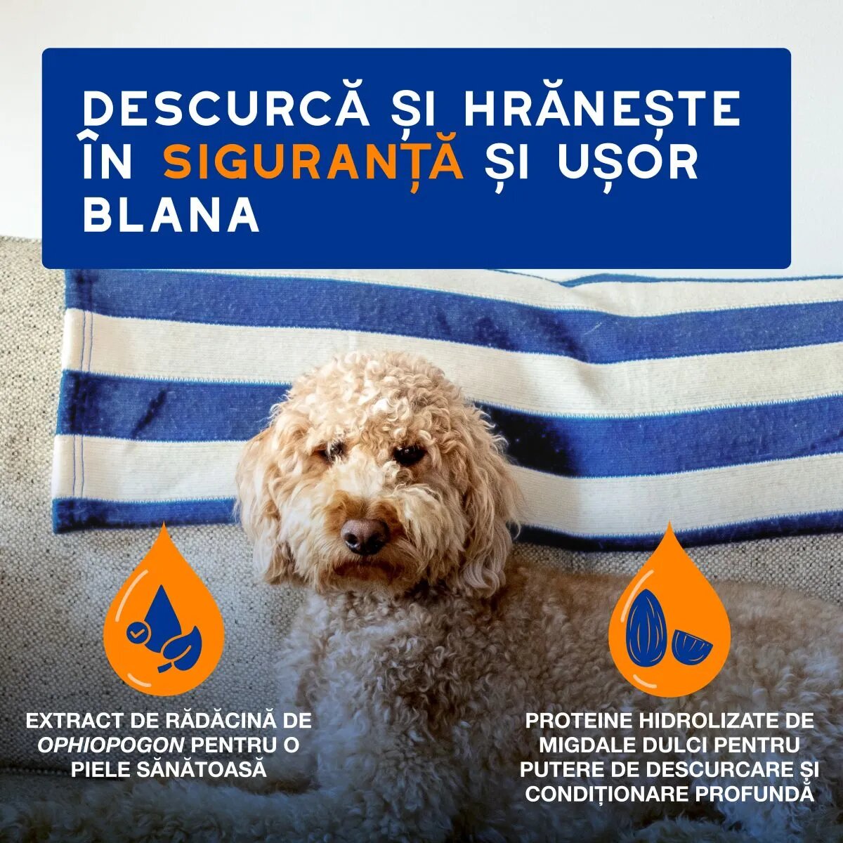 DOUXO SPA Detangling spray descâlcit câini descâlcirea blănii Vanilie și Nucă de cocos flacon 295ml