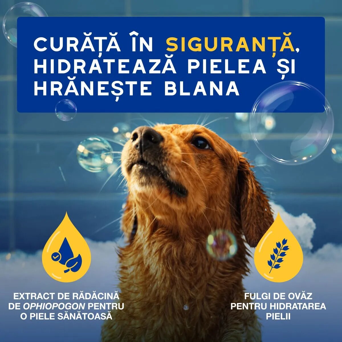 DOUXO SPA Hydrating Oatmeal șampon câini hidratant Vanilie și Nucă de cocos flacon 250ml