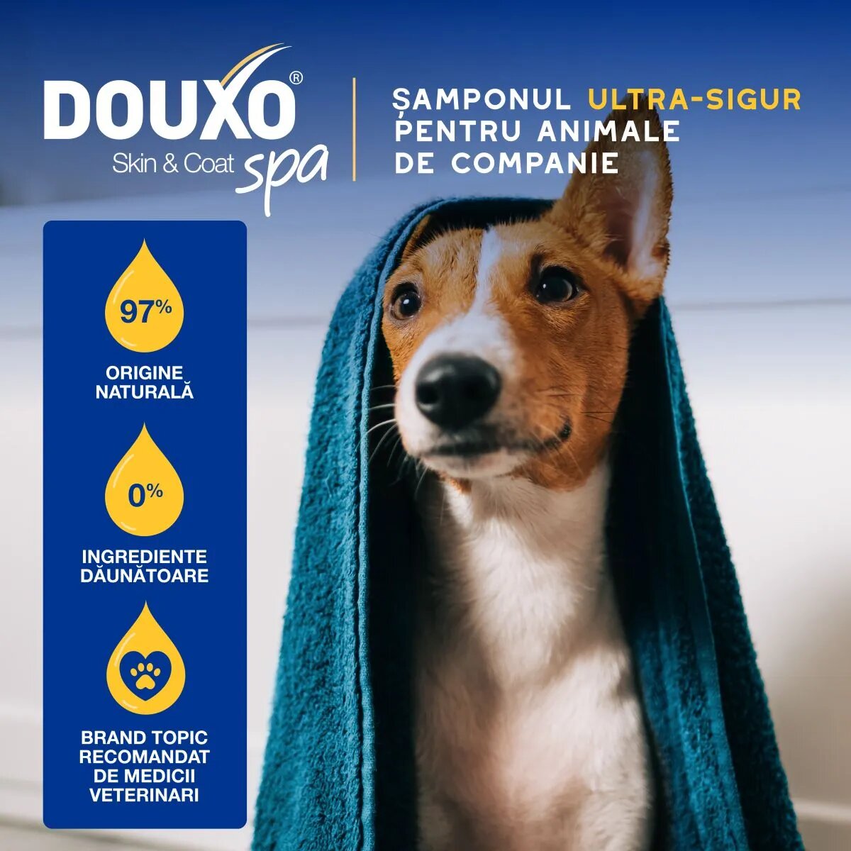 DOUXO SPA Hydrating Oatmeal șampon câini hidratant Vanilie și Nucă de cocos flacon 250ml