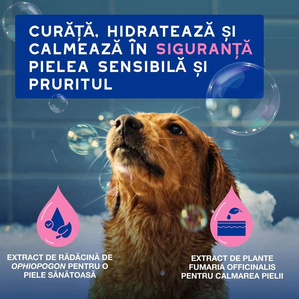 DOUXO SPA Itch Soothing șampon câini anti-mâncărime calmant Vanilie și Nucă de cocos flacon 250ml