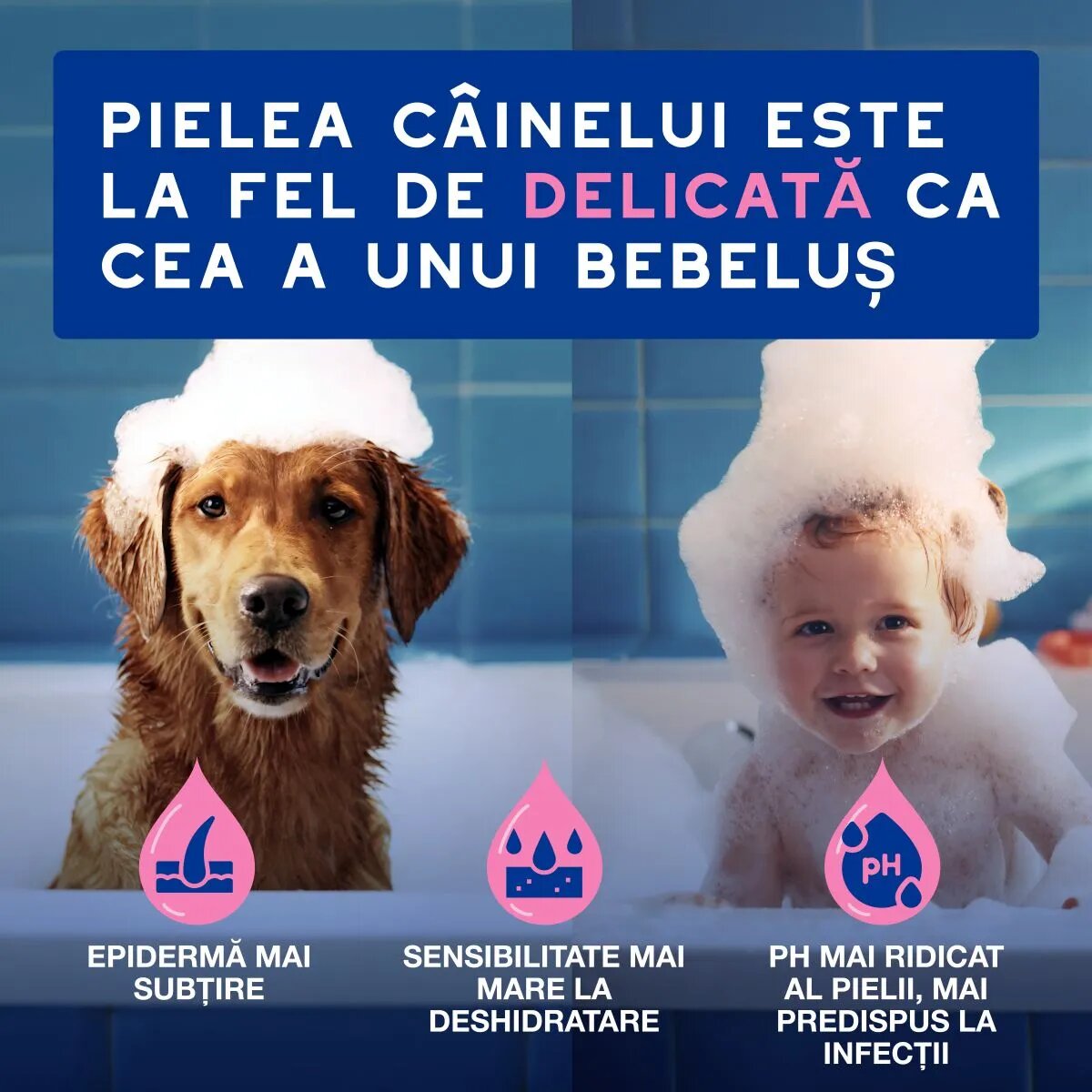 DOUXO SPA Itch Soothing șampon câini anti-mâncărime calmant Vanilie și Nucă de cocos flacon 250ml