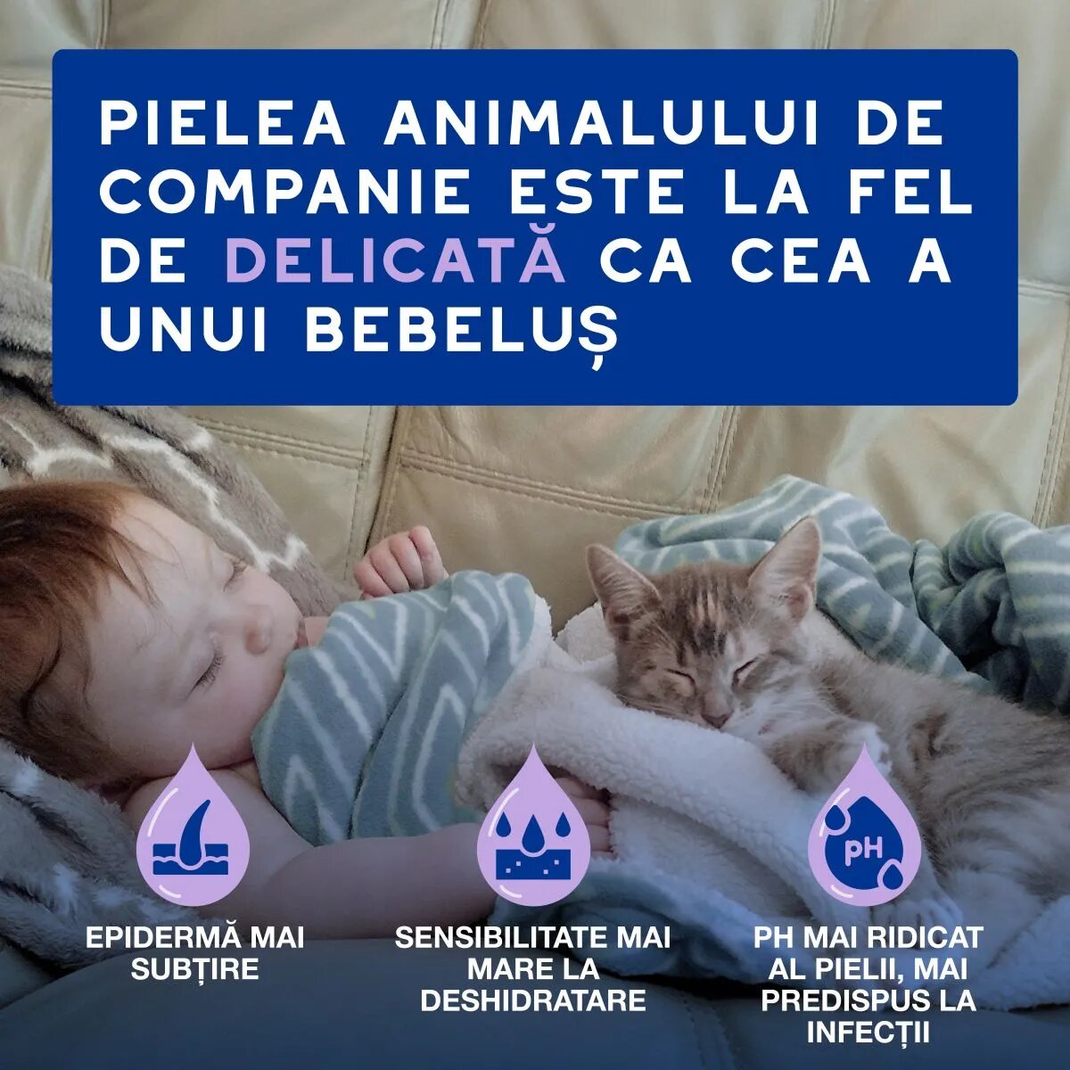 DOUXO SPA Low-Stress Refresh Mousse șampon spumă pisici fără clătire hidratantă Vanilie și Nucă de cocos flacon cu aplicator 150ml