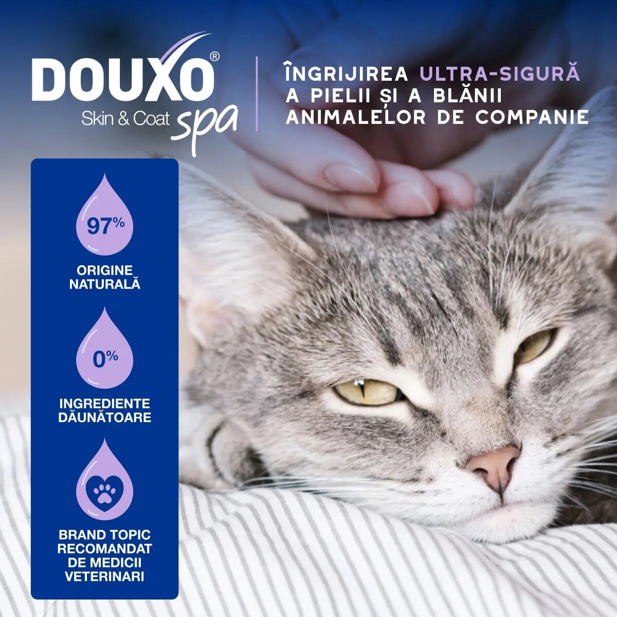 DOUXO SPA Low-Stress Refresh Mousse șampon spumă pisici fără clătire hidratantă Vanilie și Nucă de cocos flacon cu aplicator 150ml
