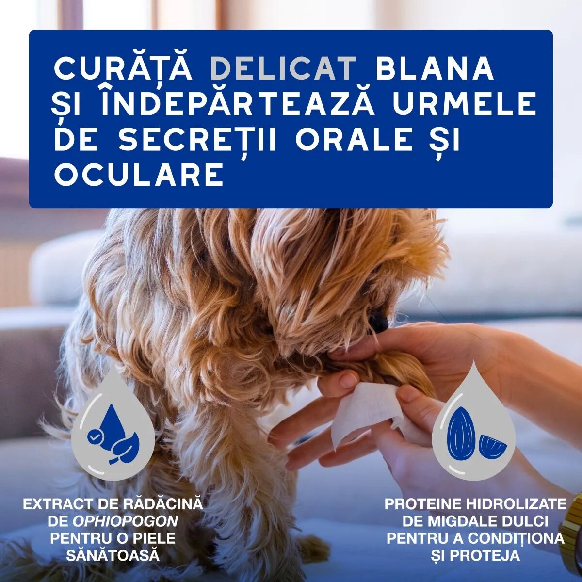DOUXO SPA Multipurpose șervețele umede câini și pisici hipoalergenice Vanilie și Nucă de cocos resigilabil 100buc