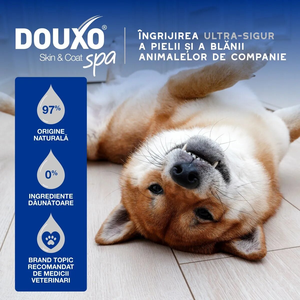 DOUXO SPA Multipurpose șervețele umede câini și pisici hipoalergenice Vanilie și Nucă de cocos resigilabil 100buc