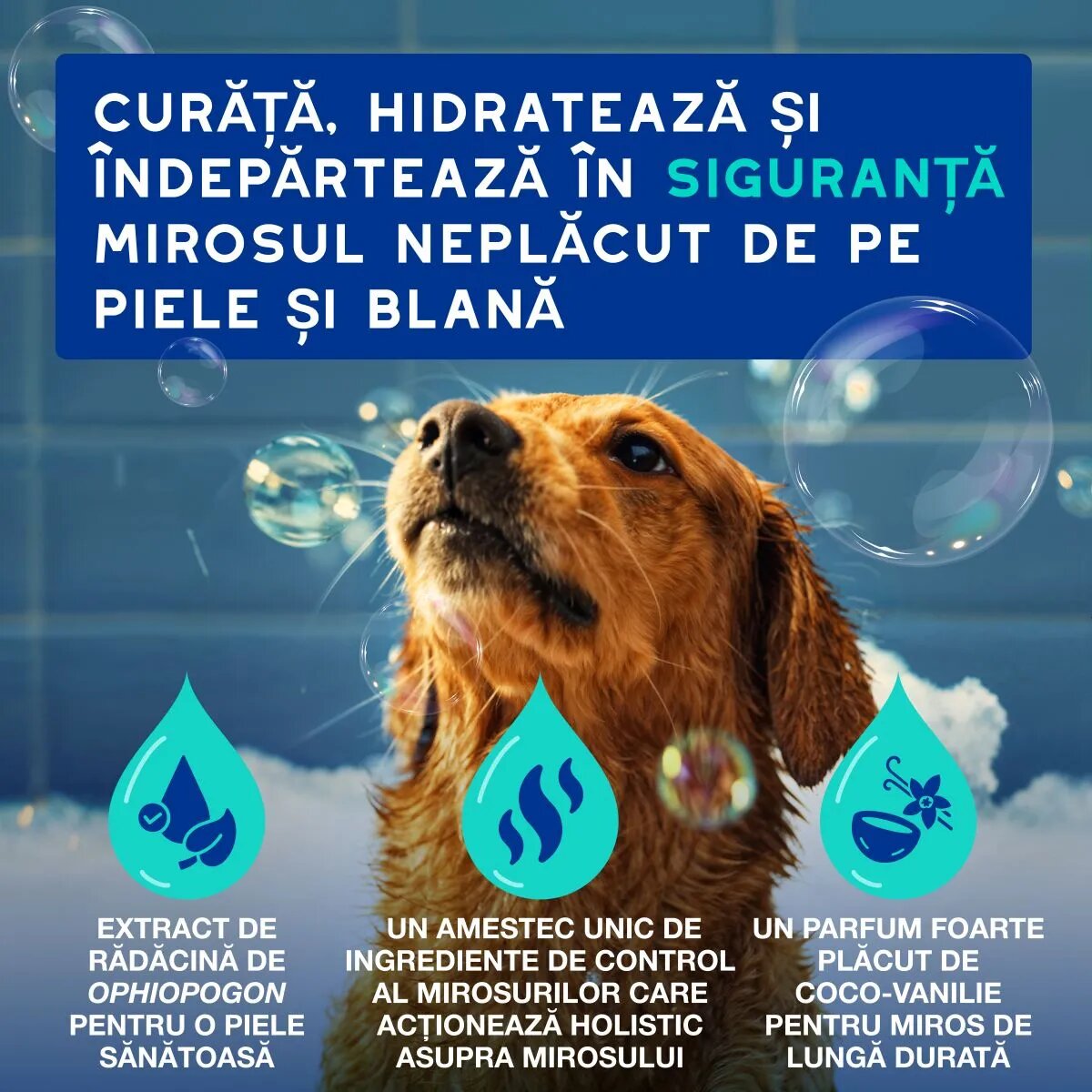 DOUXO SPA Odor Control șampon câini anti-mătreață Vanilie și Nucă de cocos flacon 250ml