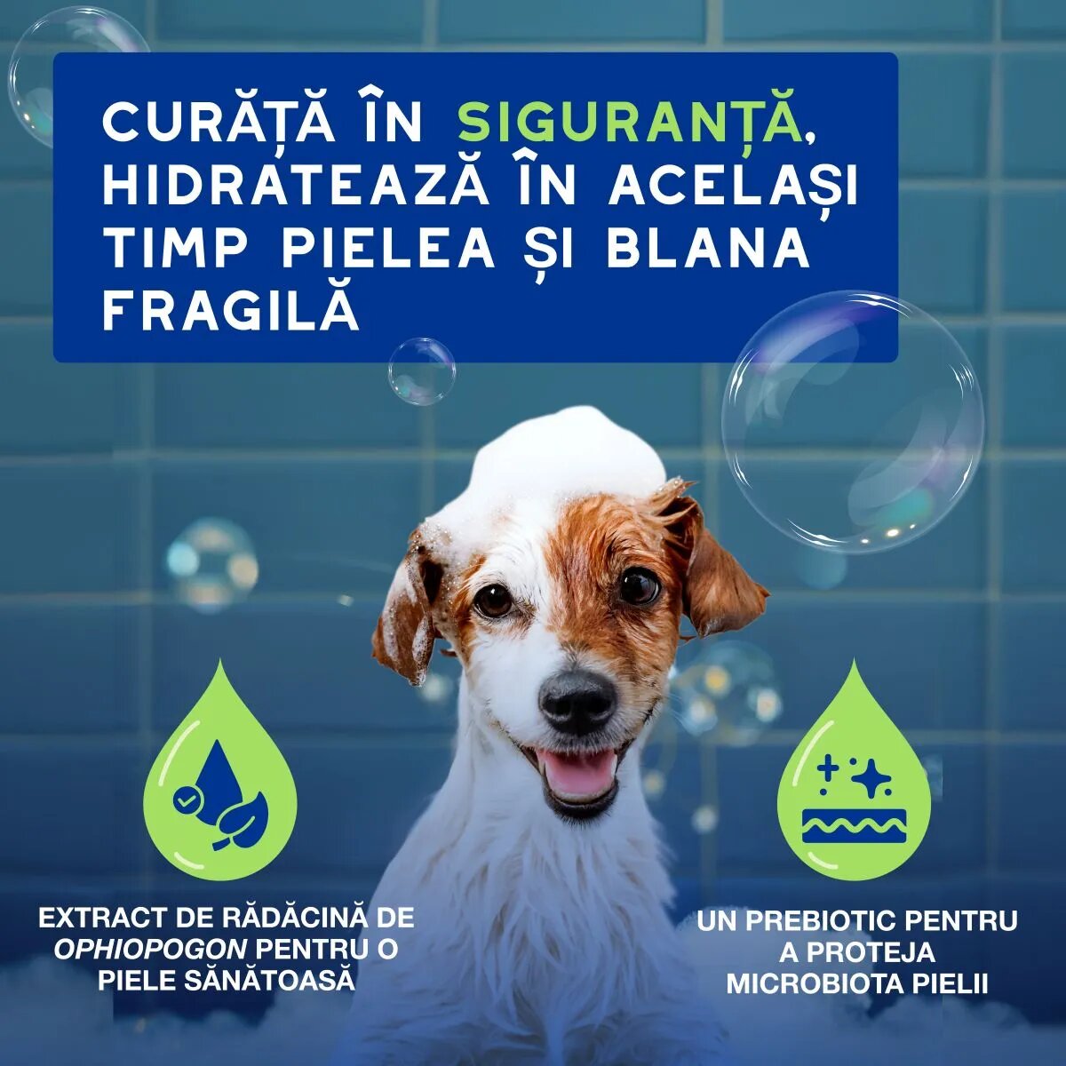 DOUXO SPA Puppy șampon câini junior hidratant hipoalergenic Vanilie și Nucă de cocos flacon 250ml