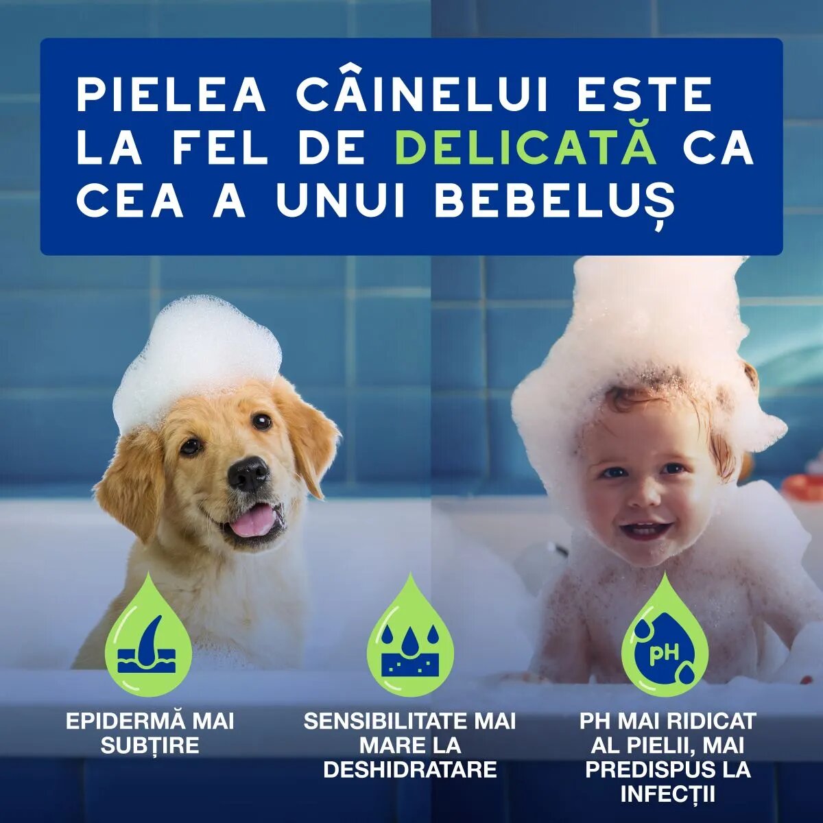DOUXO SPA Puppy șampon câini junior hidratant hipoalergenic Vanilie și Nucă de cocos flacon 250ml