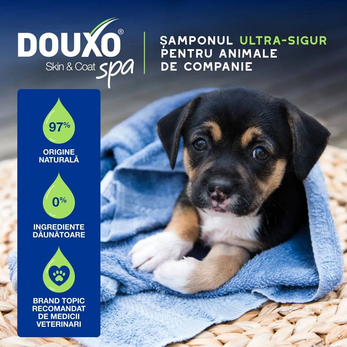 DOUXO SPA Puppy șampon câini junior hidratant hipoalergenic Vanilie și Nucă de cocos flacon 250ml