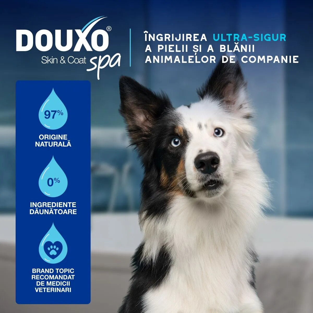 DOUXO SPA Quick Refresh Mousse șampon spumă câini fără clătire hidratantă Vanilie și Nucă de cocos flacon 150ml