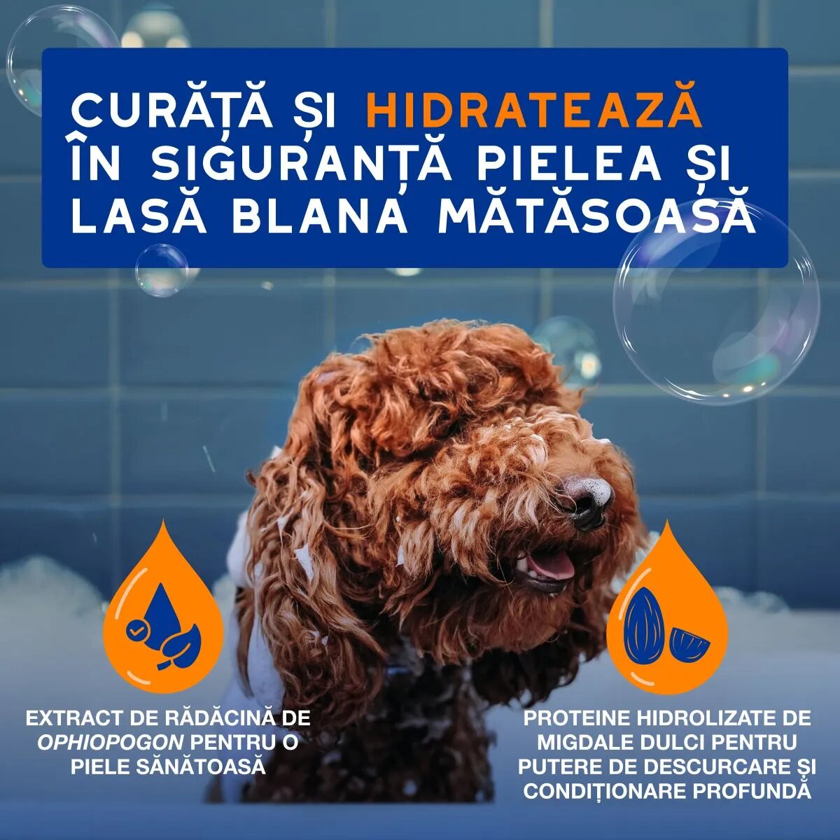 DOUXO SPA Shampoo 2 in 1 Conditioning șampon și balsam 2în1 câini descâlcirea blănii Vanilie și Nucă de cocos flacon 250ml