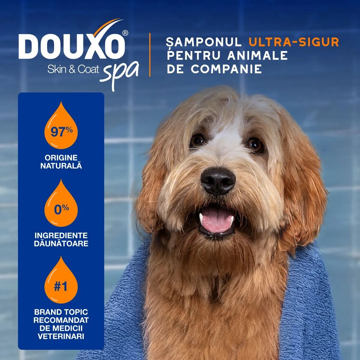 DOUXO SPA Shampoo 2 in 1 Conditioning șampon și balsam 2în1 câini descâlcirea blănii Vanilie și Nucă de cocos flacon 250ml