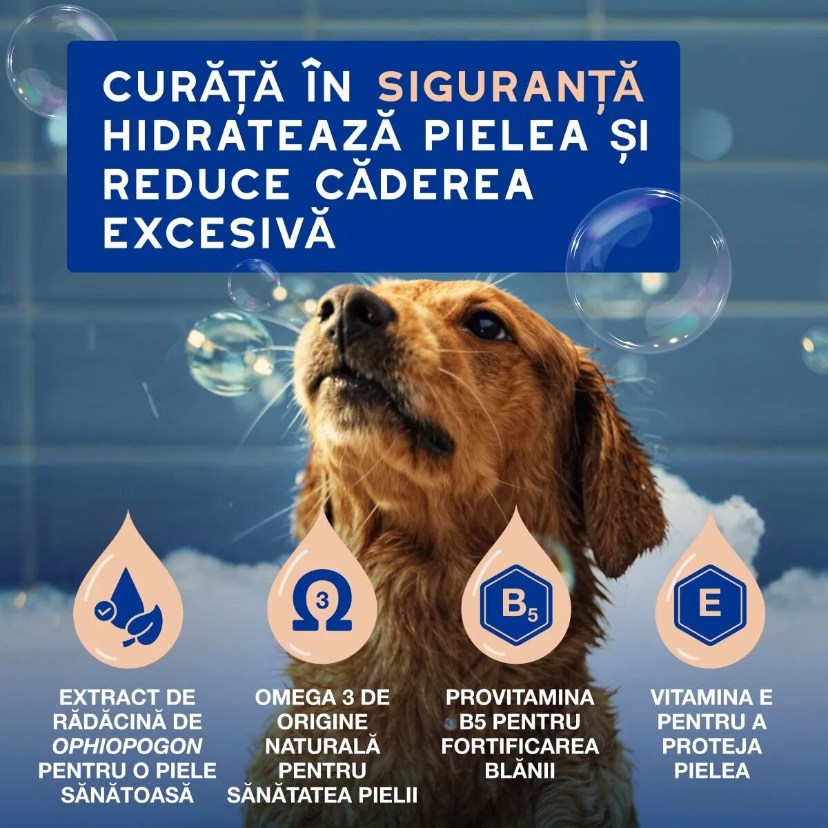 DOUXO SPA Shed Control șampon câini anti-năpârlire Vanilie și Nucă de cocos flacon 250ml