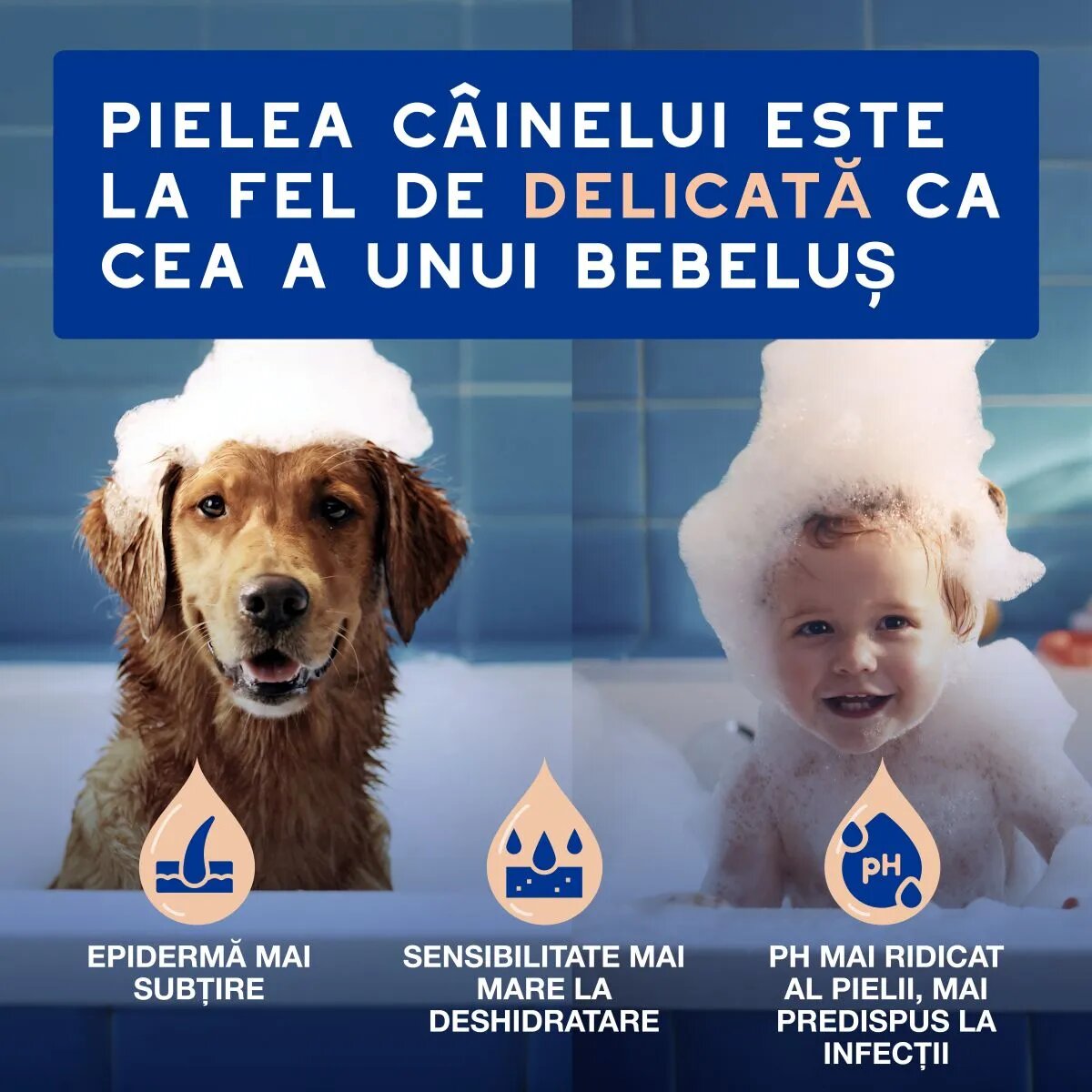 DOUXO SPA Shed Control șampon câini anti-năpârlire Vanilie și Nucă de cocos flacon 250ml