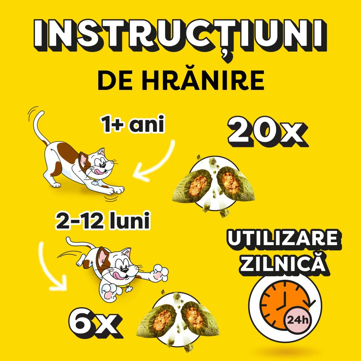 DREAMIES Catnip punguță recompense pisici 60g
