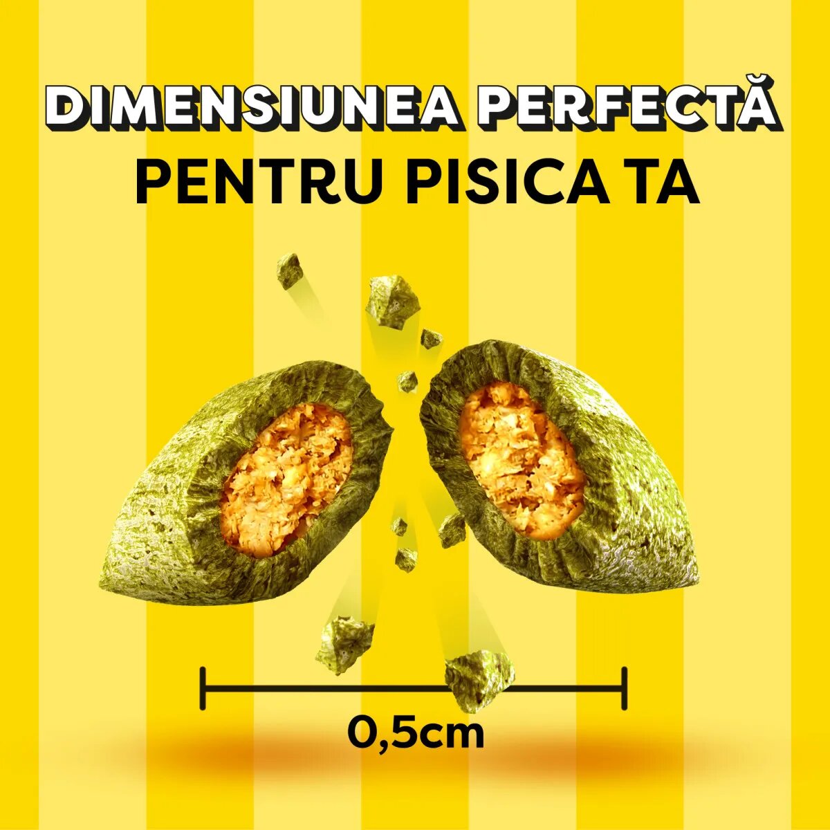 DREAMIES Catnip punguță recompense pisici 60g