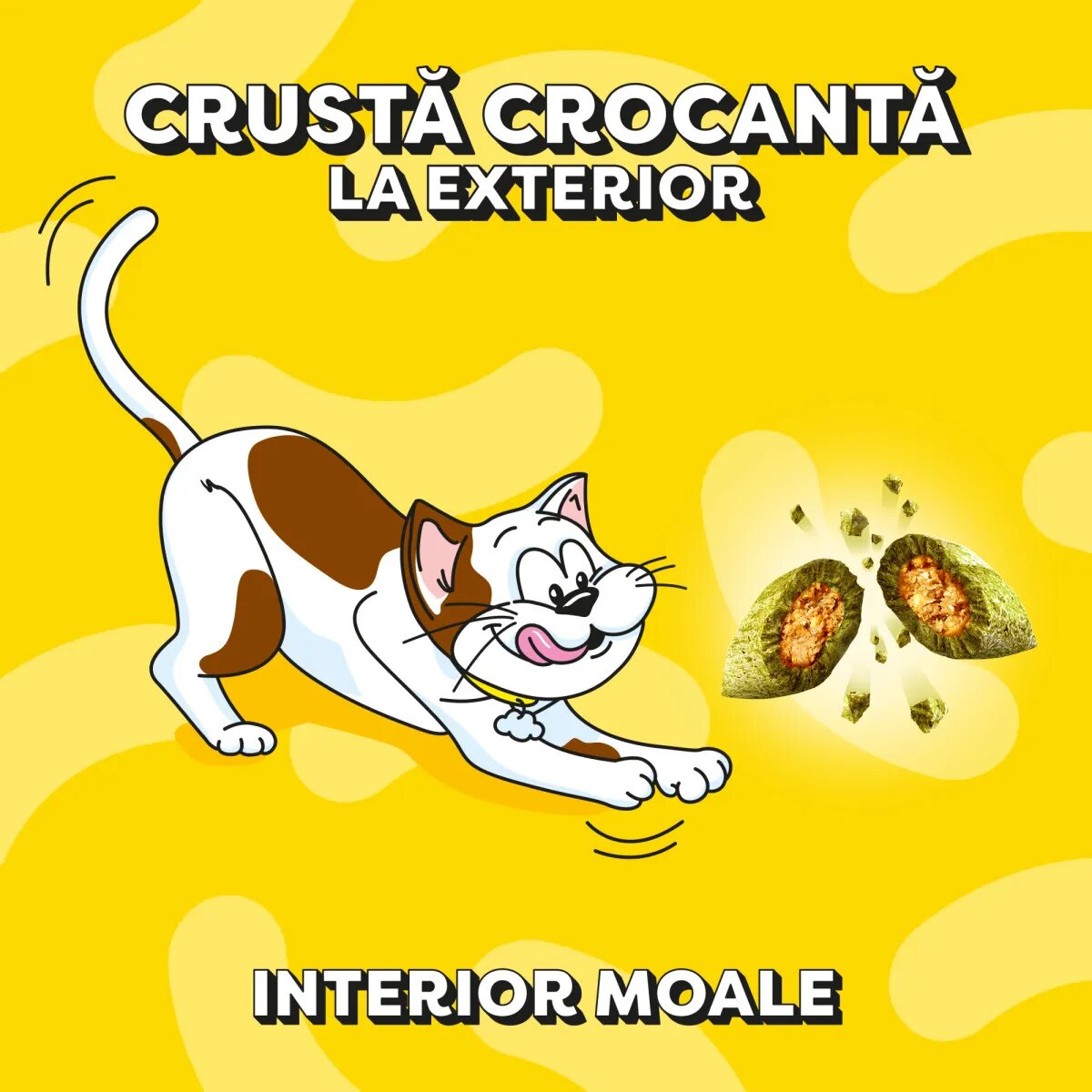 DREAMIES Catnip punguță recompense pisici 60g