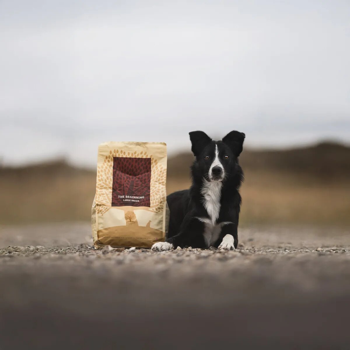 Essential Foods ESSENTIAL Beginning Large Breed Pui și Rață hrană uscată fără cereale câini junior ESSENTIAL Beginning Large Breed L-XL Pui și Rață hrană uscată fără cereale câini junior 2.5kg