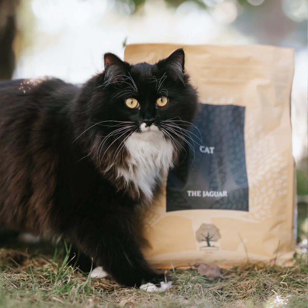 Essential Foods ESSENTIAL Jaguar Rață și Pui hrană uscată fără cereale pisici 3kg