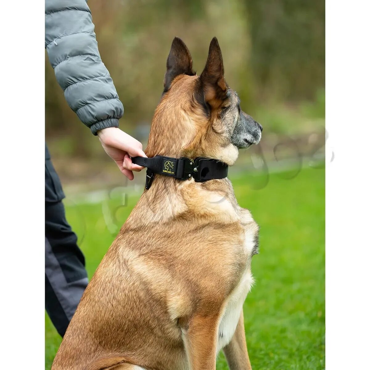 EURO JOE Tactical TC2+ zgardă câini mâner control nylon negru cataramă Cobra L(26-52 x 3.8cm)