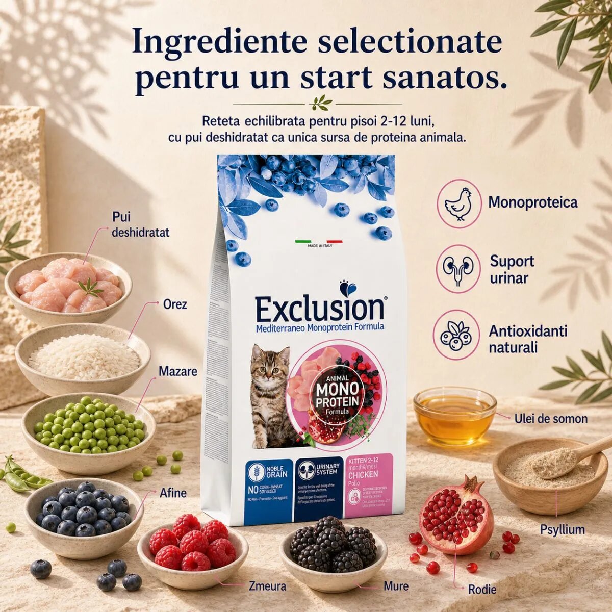 EXCLUSION Mediterraneo Monoprotein Formula Kitten Pui hrană uscată monoproteică pisici junior 12kg