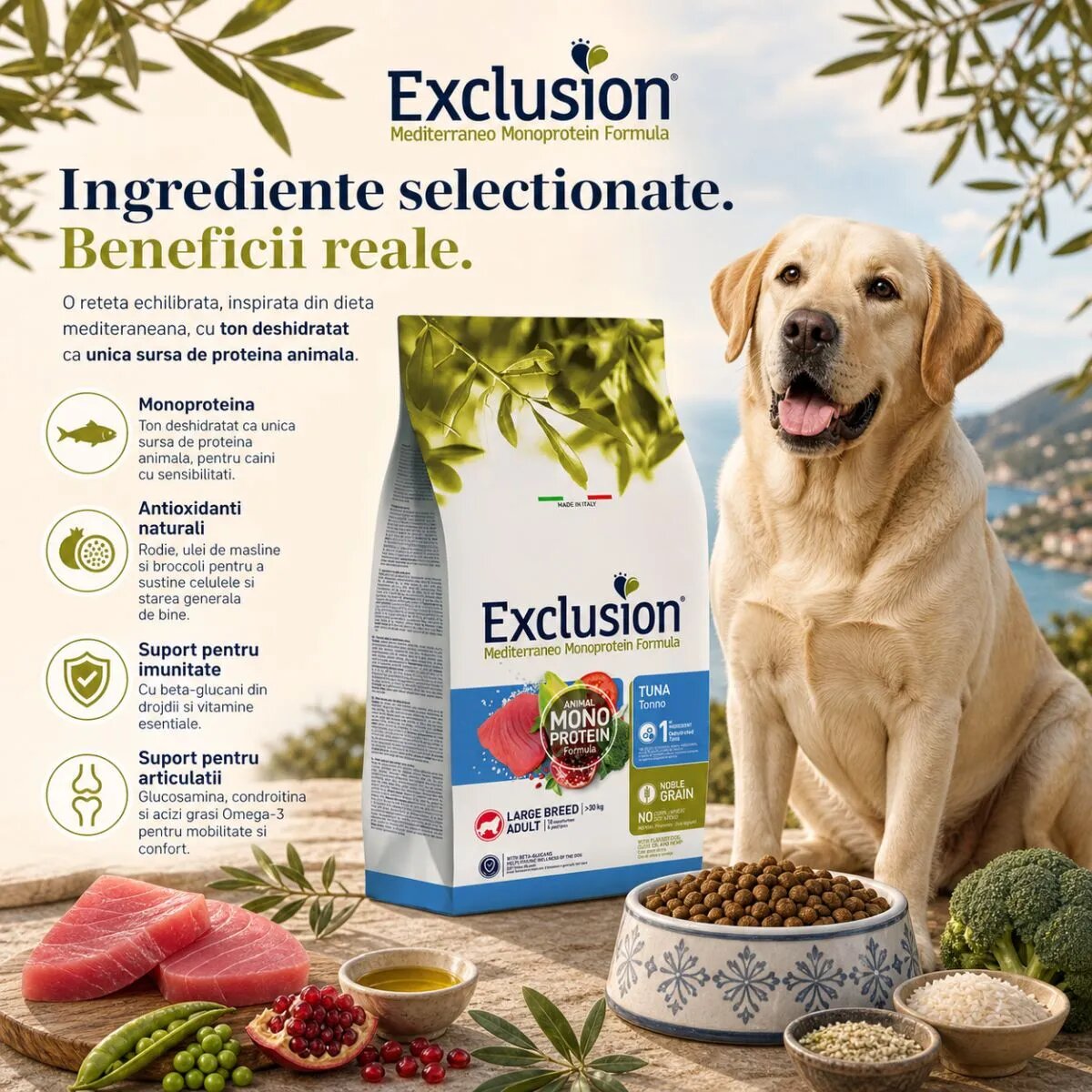 EXCLUSION Mediterraneo Monoprotein Formula Large Breed L-XL Ton hrană uscată monoproteică câini 12kg