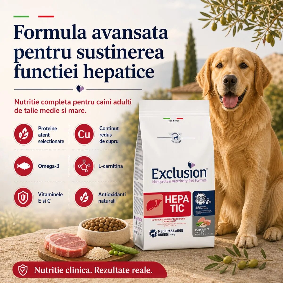 EXCLUSION Monoprotein VD Hepatic Medium&Large M-XL Porc și Orez dietă veterinară hrană uscată câini sistem hepatic 12kg