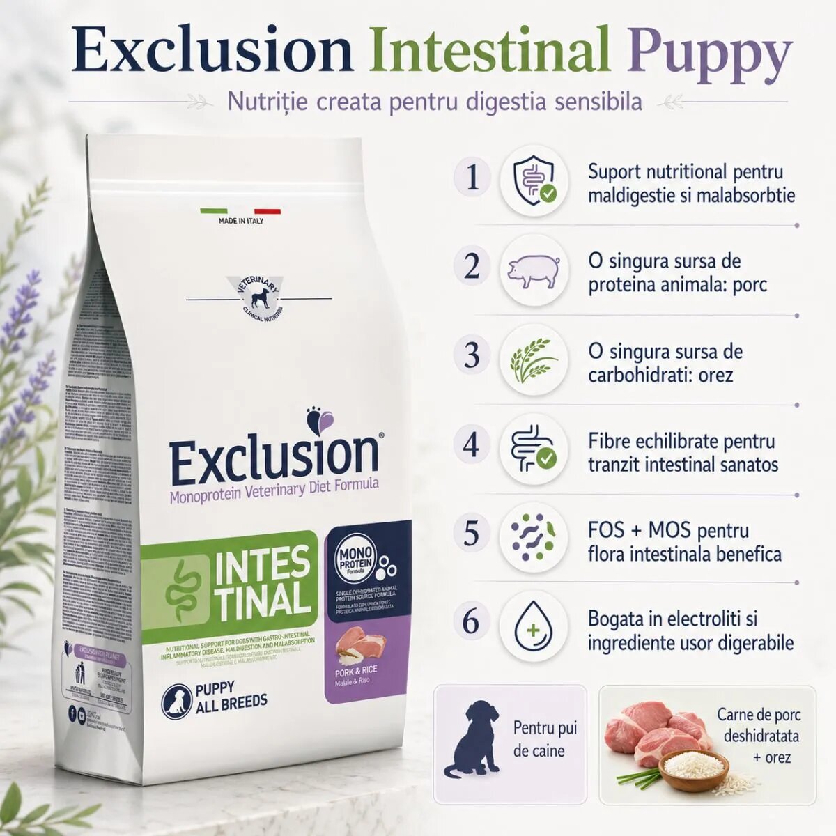 EXCLUSION Monoprotein VD Intestinal Puppy XS-XL Porc și Orez dietă veterinară hrană uscată câini junior sistem digestiv 12kg