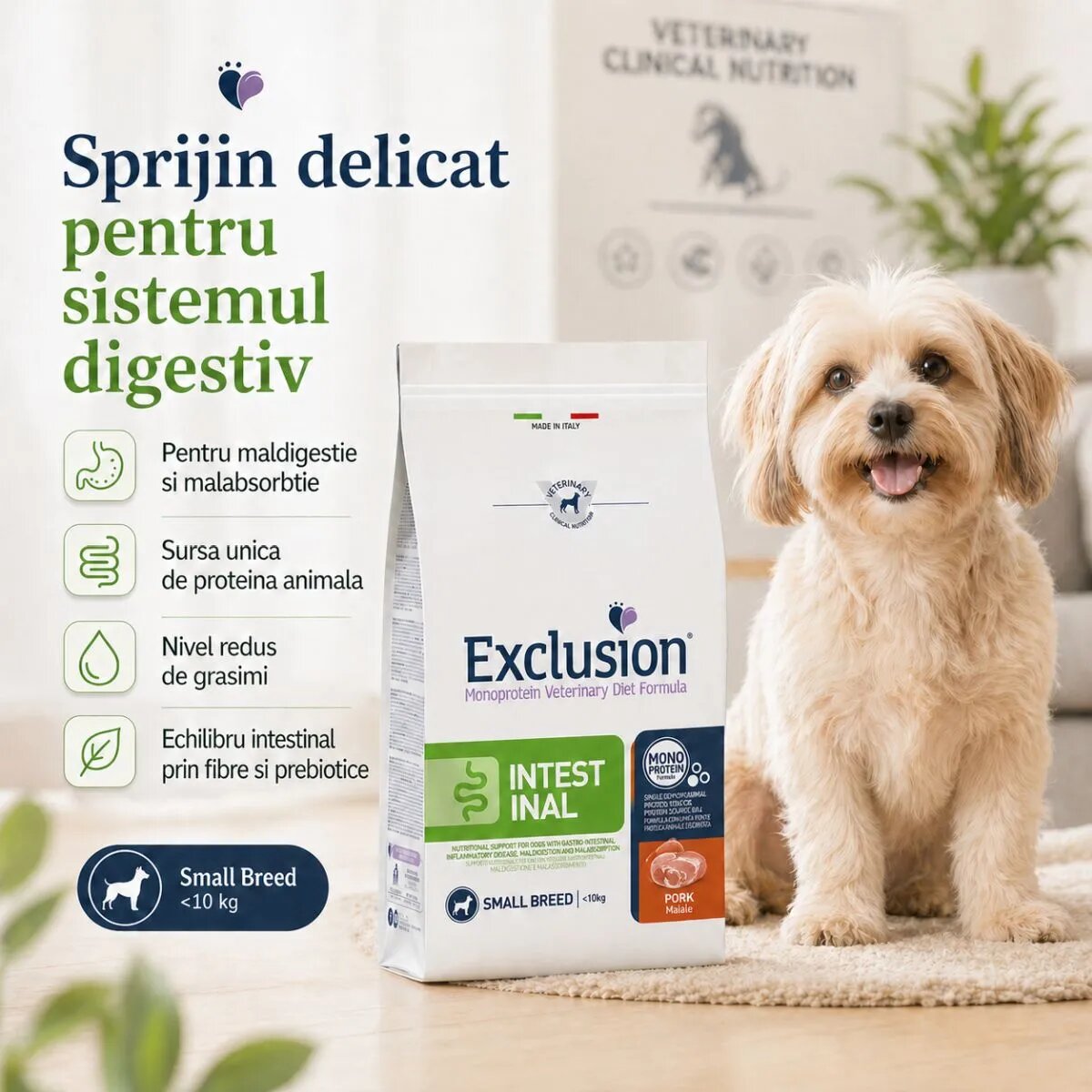 EXCLUSION Monoprotein VD Intestinal Small XS-S Porc și Orez dietă veterinară hrană uscată câini sistem digestiv 2kg