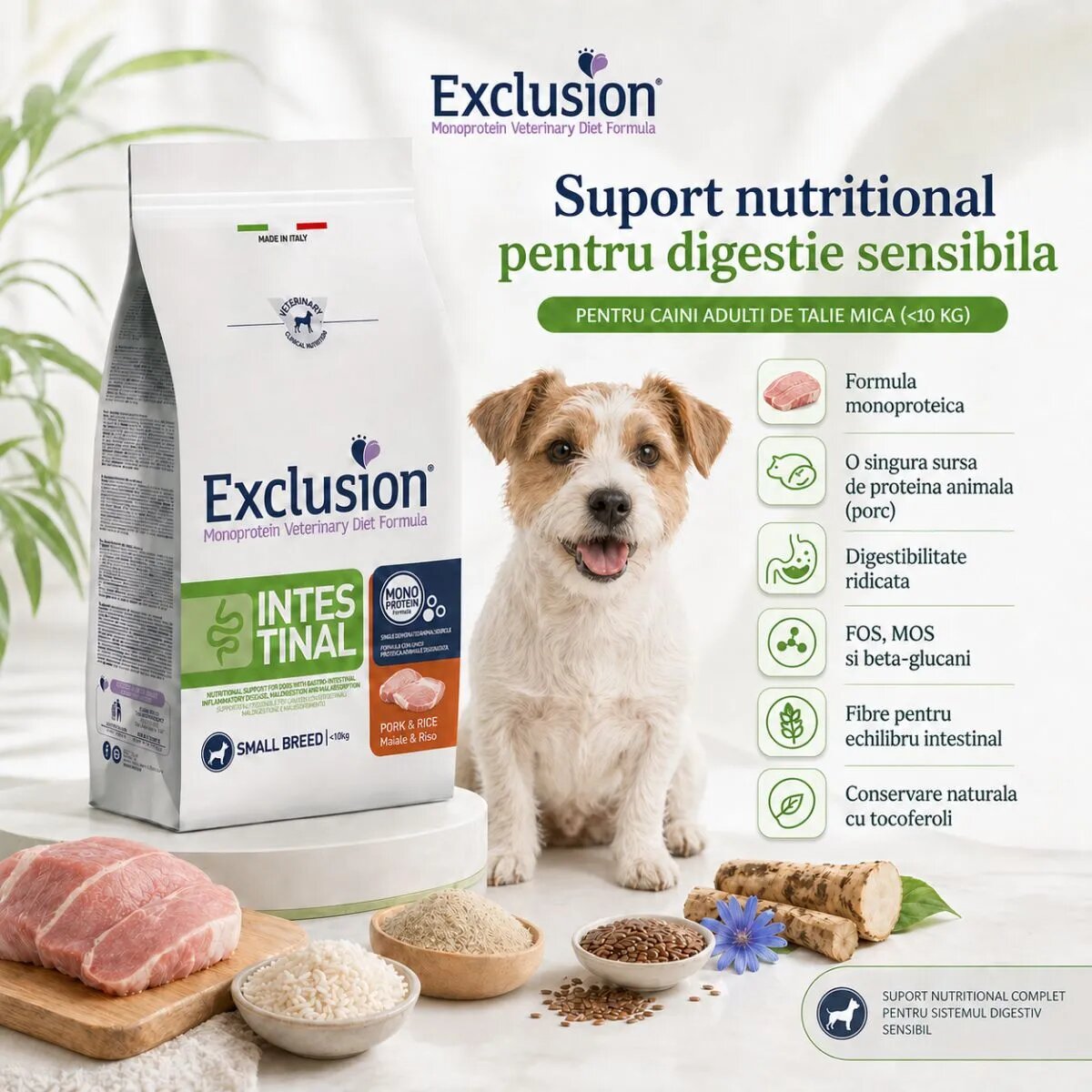 EXCLUSION Monoprotein VD Intestinal Small XS-S Porc și Orez dietă veterinară hrană uscată câini sistem digestiv 7kg